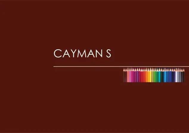 CAYMAN S